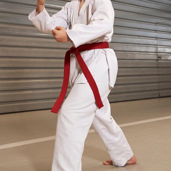 Tiger Cho's Taekwondo 